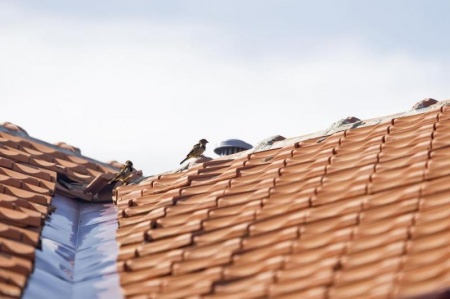 Quand et comment effectuer le remplacement de vos tuiles ?